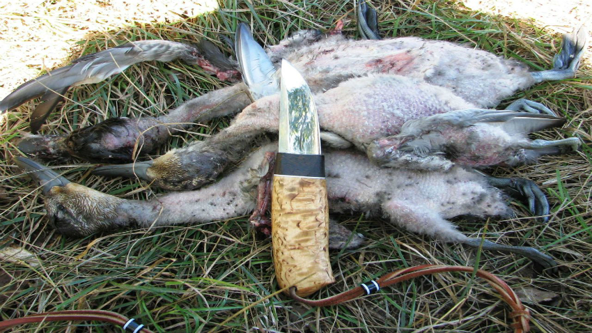 Как выбрать хороший охотничий нож