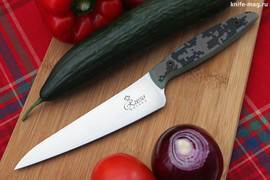 Кухонный нож Alexander M N690 Camo G-10